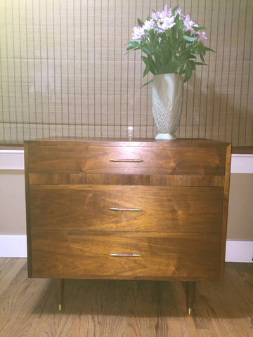 Danish Mid-Century Modern Low Walnut Dresser Chest